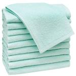 Гостевое полотенце Zollner 00000086 10er-Set, мята - фото