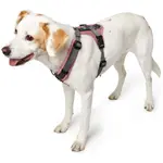 Hunter Arnés Maldon Pink and Gris для собак XS-S Hunter - фото 2