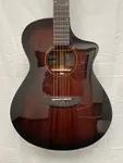 Breedlove Wildwood Pro Concert Suede CE 2020-е - Suede Burst - фото 3