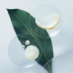 Botanical Repair - Укрепляющий шампунь Aveda, 200 ml - фото 3