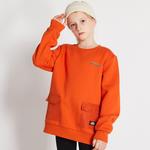 Детская толстовка Dickies, Тыква - фото 10