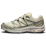 Кроссовки XT 6 'Almond Milk Mauve' SALOMON, серо-бежевый/пепельно-серый/бледно-розовый - фото