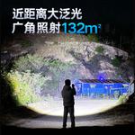 Фонарь для кемпинга с функцией зарядки PHILIPS - фото 2