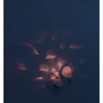 Ночник LED LED-проектор, LED-модуль, 2 шт. Niermann, белый - фото