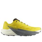 Кроссовки SALOMON Pulsar 'Sedona Sage' - фото 6