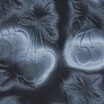 Рубашка с короткими рукавами Supreme Cherries, цвет Черный - фото 3