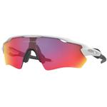 Велосипедные очки Goggles Oakley - фото 8