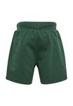 Шорты TRUE Hummel, темно-зеленый - фото 4