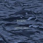 CD диск Dodos: Certainty Waves - фото
