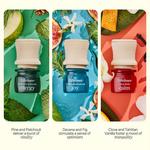 Набор Discovery смеси эфирных масел Lifelines — 5 упаковок, мультиколор - фото 3