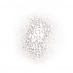 Спрей для тела Douglas Collection, 200 мл - фото 4