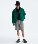 Мужские шорты Evolution Simple Dome The North Face, TNF Mid Grey Heather - фото 2