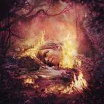 Диск CD SZNZ: Summer [Manufactured On Demand] - Weezer - фото