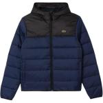 Пуховик мужской LACOSTE, синий - фото