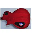 Электрогитара ESP LTD Alex Skolnick AS-1 FM Lemon Burst Signature - фото 21