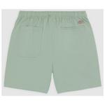 Пеликан Рапидс - шорты Dickies, зеленый - фото 2