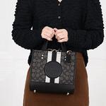 Демпси Хэндбэгз КОУЧ - фото 7