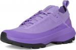Кроссовки Arc'teryx Women's Vertex Alpine GTX, Aster/Dark Aster - фото 7