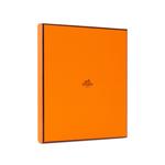 HERMES Шёлковый шарф унисекс коричневый, Brown - фото 4