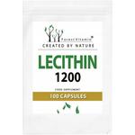 Лесной Витамин, Лецитин 1200, БАД, 100 капс Forest Vitamin - фото