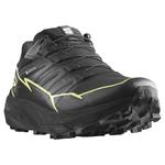 Кроссовки Salomon Thundercross Goretex Trail, черный - фото 4