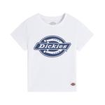 Детская футболка Dickies, голубой - фото 3