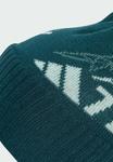 Шапка Adidas Terrex POM BEANIE UNISEX, Aurora Ivy/Dark Green - фото 2
