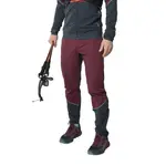 Брюки Dynafit Alpine Hybrid, красный - фото