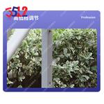 3512 Тент «Звездное небо», уличный непромокаемый складной выдвижной зонтик, навес на четырех ножках, 2,5*2,5 м, джунгли, звездное небо - фото 9