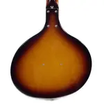 Электрогитара Danelectro Baby Sitar - фото 6