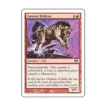 CCG Canyon Wildcat (C) (фольга), MTG - 8th Edition - фото