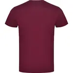 Футболка Kruskis Mountain, красный - фото 2