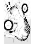 Cat + Crazy Volume 2 (Dark Horse Manga) - фото 3