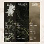 Наборы для ухода Unisex AARYE - фото 5