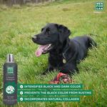 Шампунь для собак Menforsan - фото 3