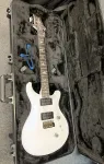 PRS Standard 24 Satin 2025 - настоящее время - Перламутрово-белый - фото 8