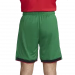 Спортивные шорты мужские Pine Green Nike, зеленый - фото 4