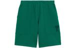 AMIPARIS Мужские спортивные шорты зеленые - фото 3