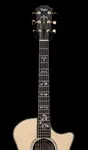Taylor Legacy 914ce №65095 - фото 4