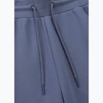 Мужские шорты Pitbull Sampson - фото 3