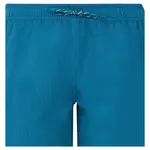 Шорты для плавания Protest Agaat 25, синий - фото 3