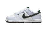 Детские кроссовки Nike для скейтбординга PS, White/Blue/Green - фото
