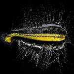 CAPERLAN Мягкая приманка Shad Rogen 250 Pike Firetiger 1 шт. - фото 3