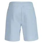 Спортивные шорты Gant Reg Shield, синий - фото 2