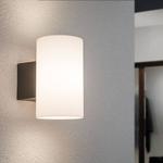 Настенный светильник Paulmann Calama - фото 3