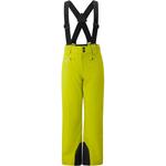 Обычные спортивные штаны ZIENER Axi, Apple - фото