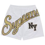 Шорты Supreme Big Script Mesh Short, белый - фото