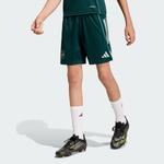 Adidas Performance Шорты для тренировок Regular 'FC Arsenal Tiro 25 Competition' в темно-зеленом цвете - фото 3