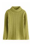 Джемпер Next REGULAR FIT-ROLL NECK, Green - фото