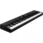 Синтезатор Studiologic Numa X Piano с 88 клавишами - фото 2